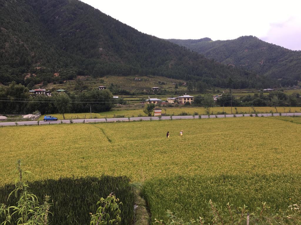 Ama'S Village Lodge Paro Eksteriør bilde